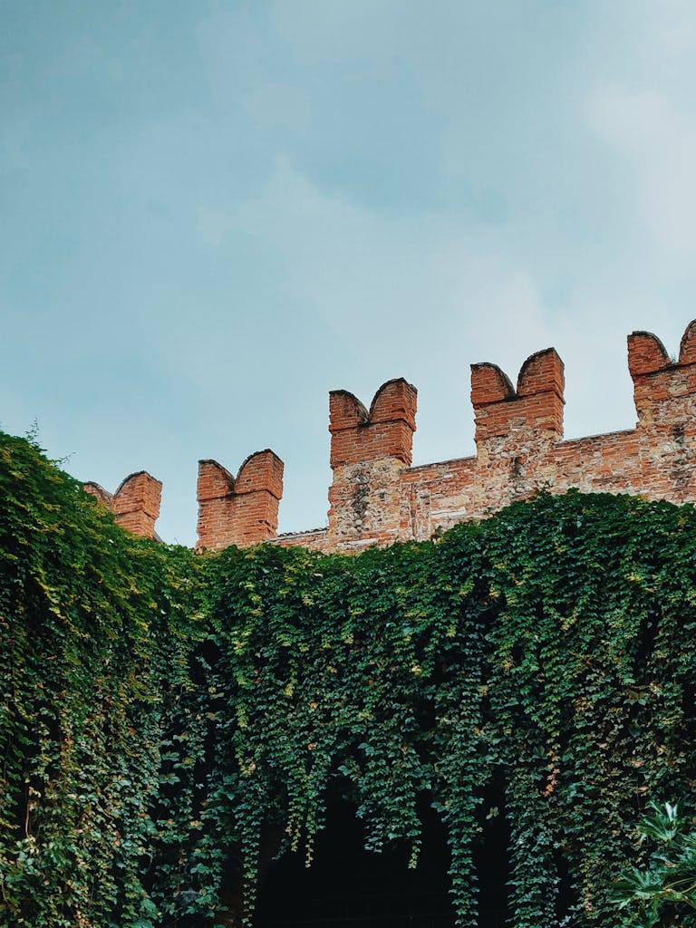 An ancient brick fortress wall adorned with lush green ivy under a clear sky.